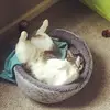 nicoleusher257 - @nicoleusher257 - TikTok