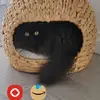 Nicole Vallee - @nicole.vallee - TikTok