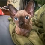 Nicole - @nicolevee__70 - Instagram