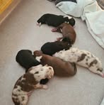 Nicole Vida - Facebook