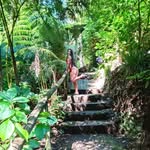 Nicole Vidal - @nicolevidal._ - Instagram