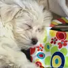 Nichole Waldner - @nicholewaldner - TikTok