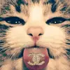 christina - @nicole.watterson - TikTok