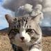 Nicole Watterson - Facebook
