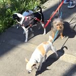 Nicole Weekley - @nicolew.4084 - Instagram
