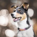 Nicole Weimer - @nicolewe70 - Instagram