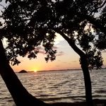 Nicole Weimer - @nicole.traci0515 - Instagram