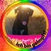 Nicole Werth - Facebook