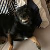 nicolewerth84 - @nicolewerth84 - TikTok