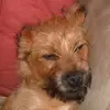 Nicole Westfall - @user084565114 - TikTok