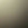 Nicolette Wilbert - @nicolette.wilbert - TikTok