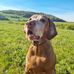 Nicole Wilhelm - Facebook
