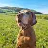 Nicole Wilhelm - @nicole.wilhelm5 - TikTok