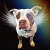 Nichole Marquez Wolfson - Facebook