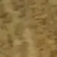 nicolette - @nicolette...brown - TikTok