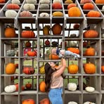 Nicolette Brown - Facebook
