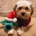 Nicolette Price - Facebook