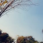 Nida Ajmal - @nida.ajmal.1884 - Instagram