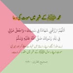 Nida Hanif - @nida.hanif.338 - Instagram