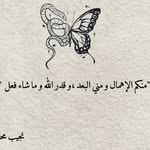 Nidal Hamdan - @nidalhamdan2 - Instagram