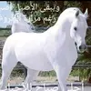 نضال - @nidalabouseif123 - TikTok