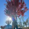 Nidia Jimenez - @nidia.jimenez21 - TikTok