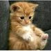 Nidia Luna - Facebook