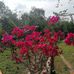 Nidia Martinez - Facebook