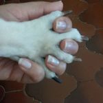 Nidia Robles - @nidia.robles.7 - Instagram