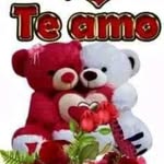 Nidia Rosado - @rosado.nidia - Instagram