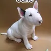 danielventer21 - @danielventer21 - TikTok