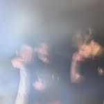 Niels Jansen - @niels.jansen_ - Instagram