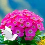 Naomi Thomas - Facebook