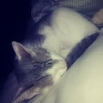 NIEVE - @nieve_castro5 - Instagram