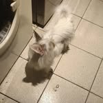 Nieve Guzmán - @nieve.x.jjss - Instagram