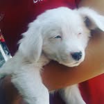 nieve_ramos_rodriguez - @nieve_ramos_rodriguez - Instagram