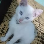 Nieve Miyuki Rojas - Facebook