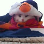 nieve rojas panayotopulos - @nieve_cat - Instagram