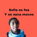 @nieveroja.srr - Instagram