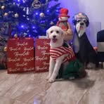 Nieve Sánchez - Facebook