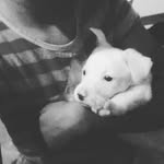 Nieve sanchez❤💞 - @nieve_sanchez - Instagram