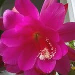 M Nieves Andreu Monagas - @mnievesam - Instagram
