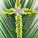 Nieves Pastor Barber - @nievespastorbarber - Instagram