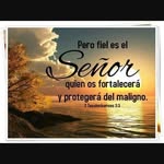 Emilio Nieves Barrientos - @nievesbarrientosemilio - Instagram