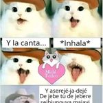 Nieves Isabel Botello Pérez - @botellopereznievesisabel - Instagram