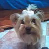 Nieves Camacho - @nievescamacho2 - TikTok
