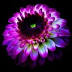 Nieves Camacho - Facebook