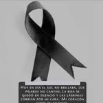 Nieves Collazos - @nieves_collazos - Instagram