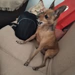 José Antonio Nieves Rivero - @nievesriverojoseantonio - Instagram