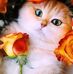 Nieves Sanchez - Facebook